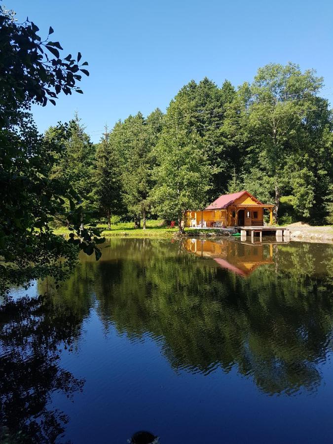 Insolite Chalet De Peche Serenite - Bien Etre Ban-sur-Meurthe-Clefcy Ngoại thất bức ảnh