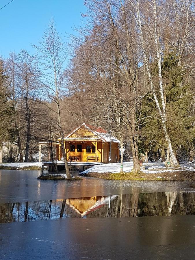 Insolite Chalet De Peche Serenite - Bien Etre Ban-sur-Meurthe-Clefcy Ngoại thất bức ảnh